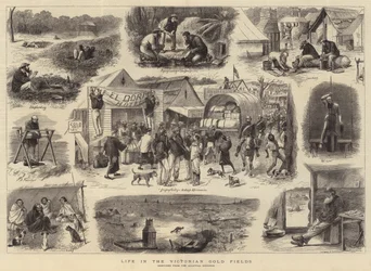 Life in the Victorian Gold Fields
